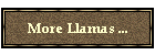 More Llamas ...