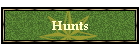 Hunts